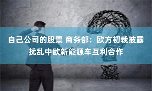 自己公司的股票 商务部：欧方初裁披露扰乱中欧新能源车互利合作