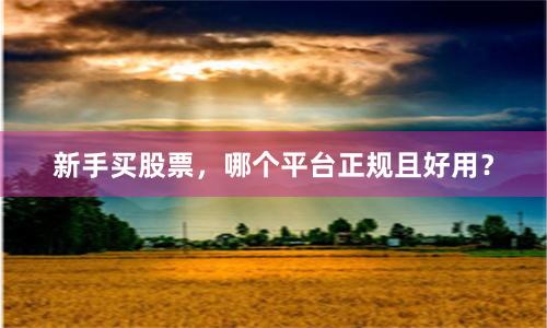 新手买股票，哪个平台正规且好用？