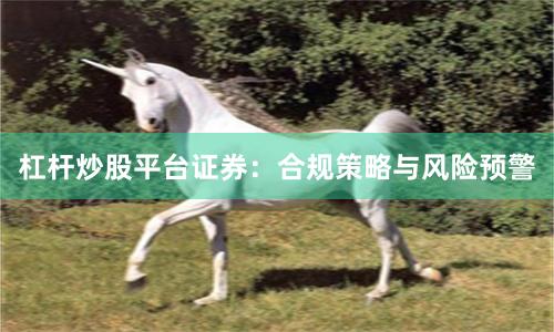 杠杆炒股平台证券：合规策略与风险预警