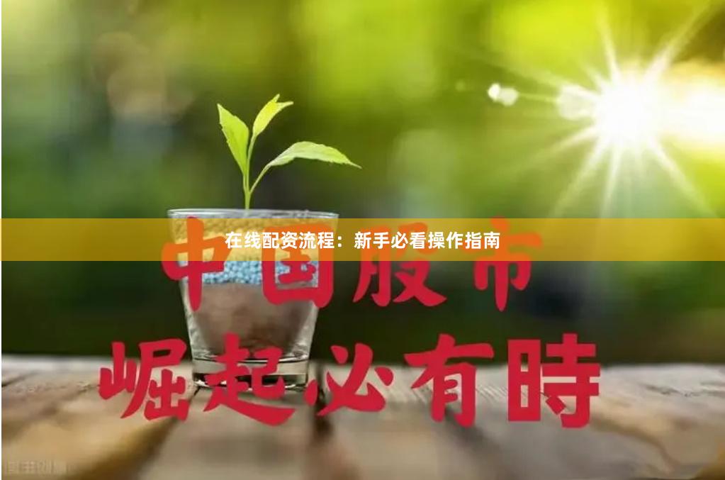 在线配资流程：新手必看操作指南