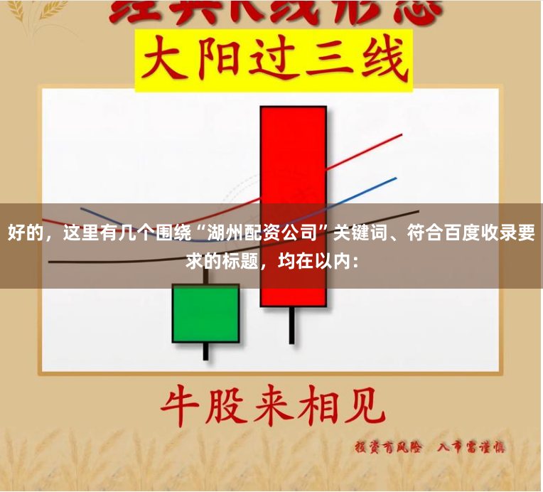 好的,这里有几个围绕“湖州配资公司”关键词、符合百度收录要求的标题,均在以内:
