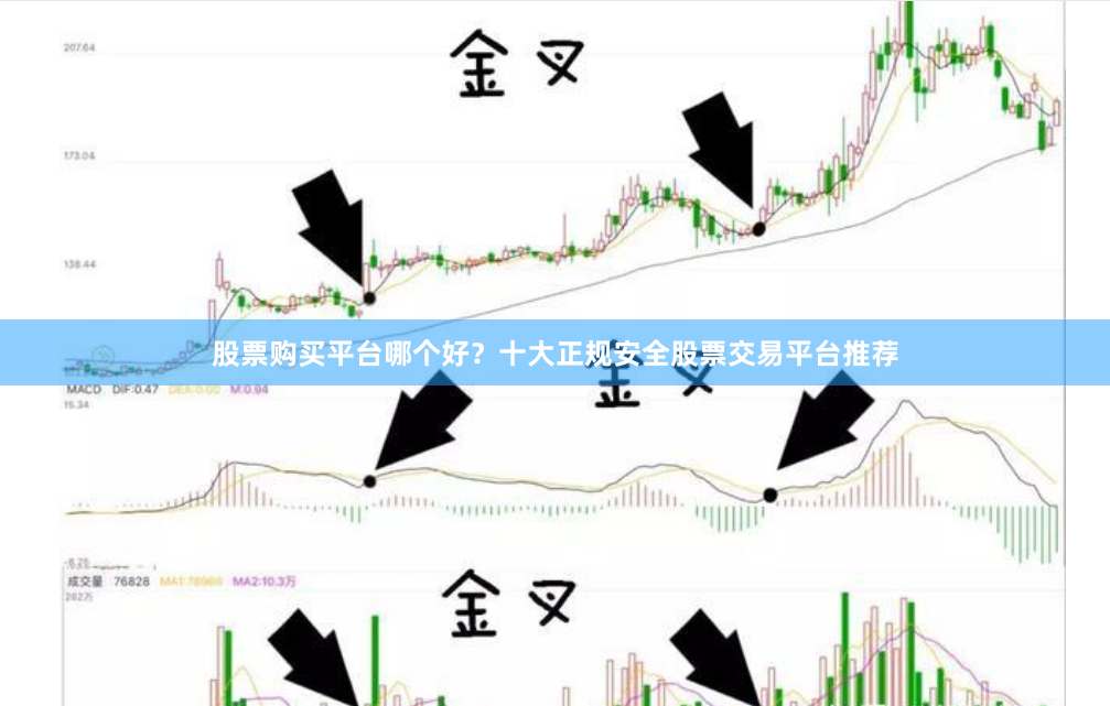 股票购买平台哪个好？十大正规安全股票交易平台推荐